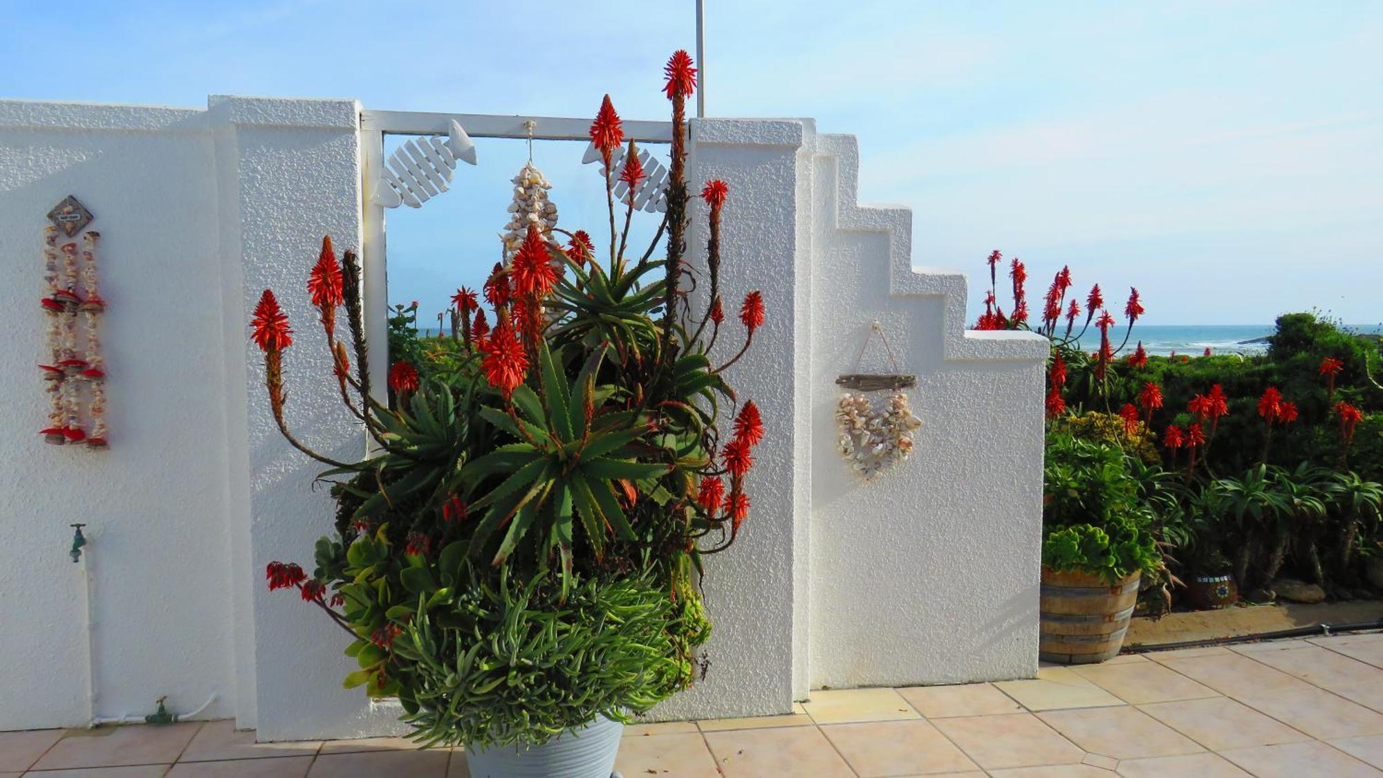 On The Beach Apartments Yzerfontein Extérieur photo